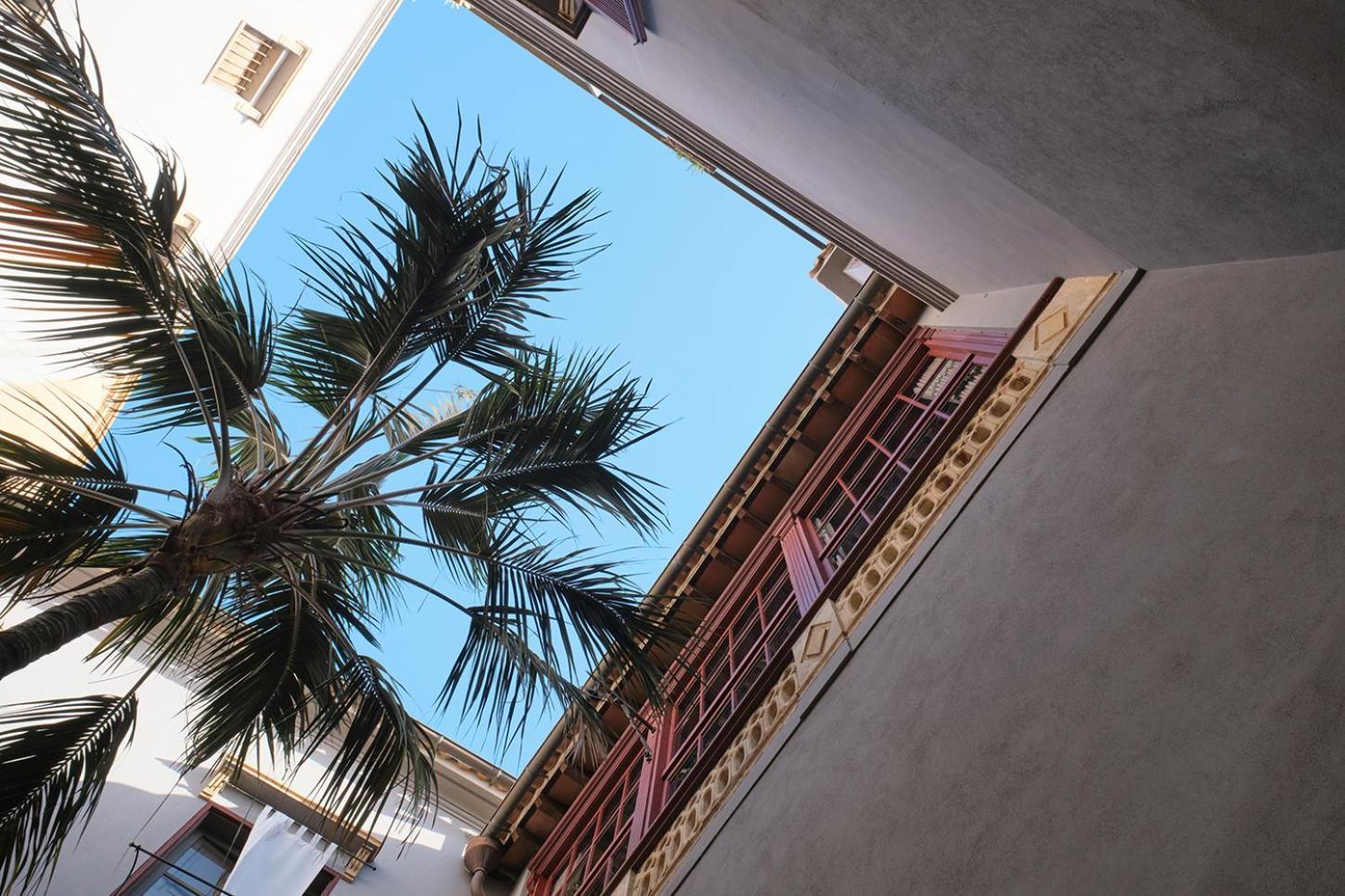 Hotel Can Cera (Adults Only) Palma de Mallorca Dış mekan fotoğraf